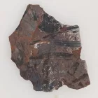 Megkövesedett Páfránylevél Lenyomat Fosszília Kőzetben (32) ~72x56x6mm Pécs Magyarország Jura Kor