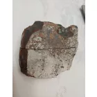 Megkövesedett Páfránylevél Lenyomat Fosszília Egész Kőzetben (3) ~90x95x60mm Pécs Magyarország Jura Kor