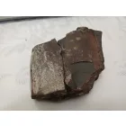 Megkövesedett Páfránylevél Lenyomat Fosszília Egész Kőzetben (3) ~90x95x60mm Pécs Magyarország Jura Kor