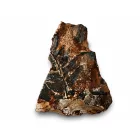 Megkövesedett Páfránylevél Lenyomat Fosszília Kőzetben (4) ~90x60x30mm Pécs Magyarország Jura Kor