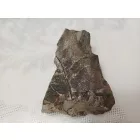 Megkövesedett Páfránylevél Lenyomat Fosszília Kőzetben (4) ~90x60x30mm Pécs Magyarország Jura Kor