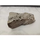 Megkövesedett Páfránylevél Lenyomat Fosszília Kőzetben (4) ~90x60x30mm Pécs Magyarország Jura Kor