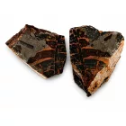 Megkövesedett Páfránylevél Lenyomat Fosszília Egész Kőzetben (5) ~90x70x50mm Pécs Magyarország Jura Kor