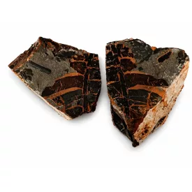   Megkövesedett Páfránylevél Lenyomat Fosszília Egész Kőzetben (5) ~90x70x50mm Pécs Magyarország Jura Kor