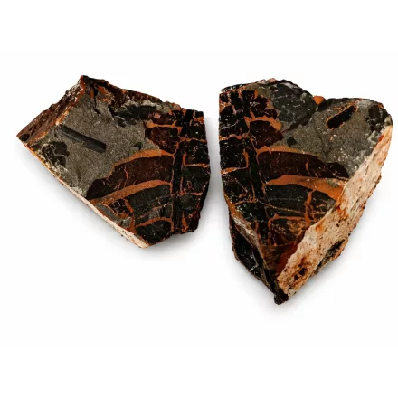 Megkövesedett Páfránylevél Lenyomat Fosszília Egész Kőzetben (5) ~90x70x50mm Pécs Magyarország Jura Kor