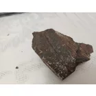 Megkövesedett Páfránylevél Lenyomat Fosszília Egész Kőzetben (5) ~90x70x50mm Pécs Magyarország Jura Kor