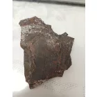 Megkövesedett Páfránylevél Lenyomat Fosszília Kőzetben (7) ~135x100x10mm Pécs Magyarország Jura Kor