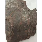 Megkövesedett Páfránylevél Lenyomat Fosszília Kőzetben (7) ~135x100x10mm Pécs Magyarország Jura Kor