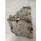 Megkövesedett Páfránylevél Lenyomat Fosszília Kőzetben (7) ~135x100x10mm Pécs Magyarország Jura Kor