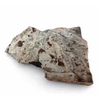 Megkövesedett Páfránylevél Lenyomat Fosszília Kőzetben (8) ~140x100x35mm Pécs Magyarország Jura Kor