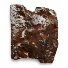 Megkövesedett Páfránylevél Lenyomat Fosszília Kőzetben (9) ~150x130x15mm Pécs Magyarország Jura Kor