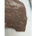 Megkövesedett Páfránylevél Lenyomat Fosszília Kőzetben (9) ~150x130x15mm Pécs Magyarország Jura Kor