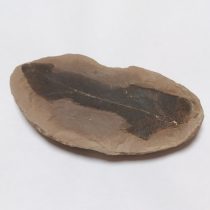   Megkövesedett Páfránylevél Lenyomat Fosszília Kőzetben ~75x65x18mm Mazon Creek, Illinois, USA, Karbon Kor