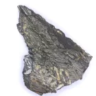 Megkövesedett Páfránylevél Lenyomat Fosszília Kőzetben ~123x83x12mm Mazon Creek, Illinois, USA, Karbon Kor