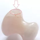 Rózsakvarc Masszázs Masszírozó Gomba 41x27-38mm (HIBÁS! Kis lepattanás)