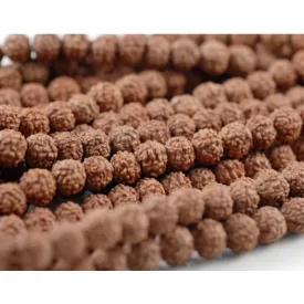 Rudraksha Gyöngy 7-8mm