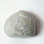 Megkövesedett Tengeri Sün Echinocorys Fosszília ~49x53x44mm Németország, Kéta Kor