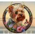 Yorkshire Terrier Yorkie Kutya (147) Napfogó 20cm